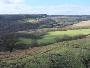 York moors